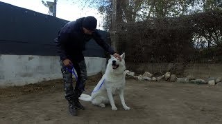 REEDUCATION BERGER BLANC SUISSE [upl. by Blau542]