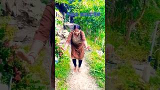 Shishe ki umar dance short trending viralvideo [upl. by Lacie]