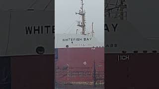 Whitefish Bay is sailing empty on the river in Michigan [upl. by Pierrepont811]