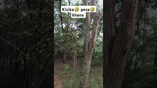 🤣kisika pesa 🤣mad khana 🤣jadi khalia to 🤣agili janam kuta 🤣hoga ap 🤣🌹 [upl. by Siana]