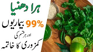 Hara Dhaniya Khane ke Fayde  99 Bimario ka ilaj Green Fresh Coriander [upl. by Helbonnah]