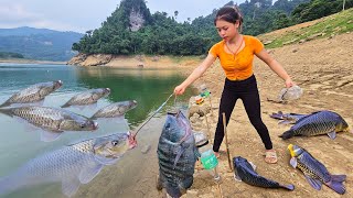 Girl catches BIG fish with homemade fish cage P2 Catch fish during floating season [upl. by Emlynne]