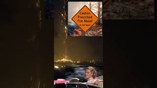 Prescribed firePrescribed by whofire yosemite funnyshorts funnyvideo [upl. by Eustazio]