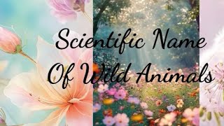 Scientific Names Of Wild Animals  Lion Tiger Black Panther Wolf Fox Leopard class11 biology [upl. by Reinhart]