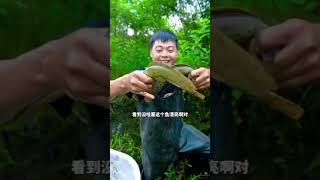 花50元包的塘，鲫魚還真不小，這是魚群上貨上貨 [upl. by Harobed369]