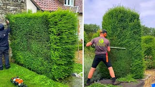 Unbelievably Satisfying Gardening Moments You Need to See 🌳 [upl. by Theall611]