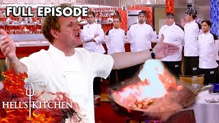 Hells Kitchen Season 5  Ep 10  Final 6 Take On The 14 Ingredient Showdown  Full Episode [upl. by Julieta351]