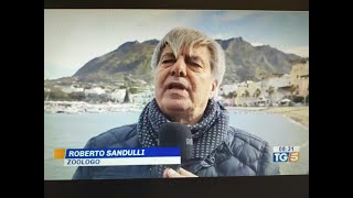 Servizio del TG5 delle ore 8 del 30 gennaio 2024 [upl. by Retluoc]