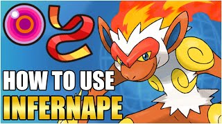 Best Infernape Moveset Guide  How To Use Infernape Competitive VGC Pokemon Scarlet Violet [upl. by Ierbua528]