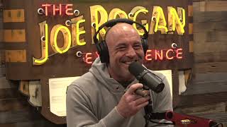 Joe Rogan Experience 2106  Kid Rock [upl. by Main765]