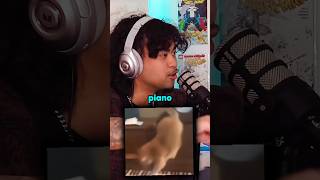 Cat piano meme Mandela effect 😱 jumpersjump podcast scary mystery [upl. by Paynter]