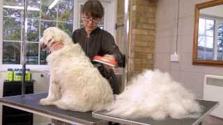 FURminator deShedding Tools for Dogs [upl. by Issiah]