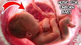 Music for unborn baby  Brain development  Relax [upl. by Rogovy]