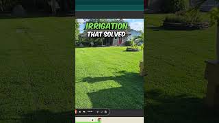 Cleaning Up the Lawn StepbyStep Transformation [upl. by Assirrem998]