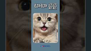 Maa owneruu 😃 shorts animalfundub comedyvideos funny ytfunny asalainahasyam [upl. by Waldman595]