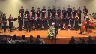 Knock Knock 44 PDQ Bach  Quadrivium Winterconcert [upl. by Ellehsal]