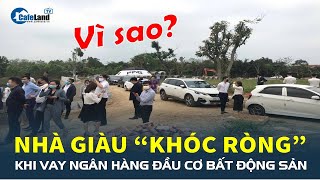 Lý do nào khiến nhà giàu cũng “khóc ròng” khi vay ngân hàng đầu cơ bất động sản  CafeLand [upl. by Isiah540]