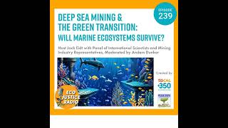 Deep Sea Mining and the Green Transition Will Marine Ecosystems Survive [upl. by Gerbold]