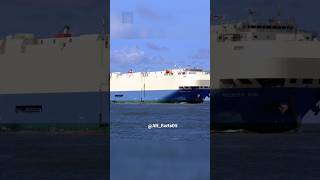 The most saddest cargo ship sinkingshorts short viralvideos india new [upl. by Adore539]