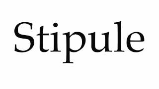 How to Pronounce Stipule [upl. by Atir]