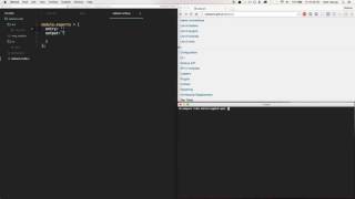 Webpack Config Basics  2First Bundle [upl. by Eiramasil]