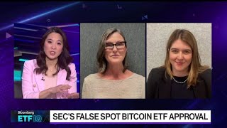 Arks Cathie Wood 21Shares Snyder on Spot Bitcoin ETF [upl. by Corrina]