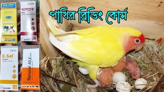 পাখির ব্রিডিং কোর্স । পাখিকে দ্রুত ব্রিডিং মুডে আনার উপায় । Birds breeding course RoufAgro [upl. by Dianthe]