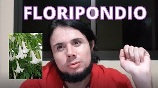 FLORIPONDIO Los Peligros  2 Casos de experiencias [upl. by Norrabal]