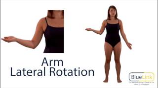 Arm Medial and Lateral Rotation [upl. by Casey]