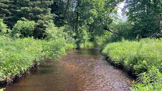 Trout Fishing a New Creek  River and Creek Trout Fishing [upl. by Arinay]