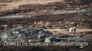 Drawn to the mountains a multiple day hike on Jämtland triangeln [upl. by Tsenrae]