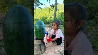 Survival Skills SIMPLE and USEFUL with watermelon bushcraft camping outdoors useful [upl. by Jess576]