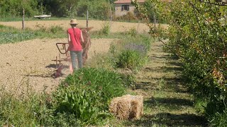 Vergermaraîcher Ferme Brin de Terre [upl. by Retluoc]