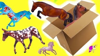 Box of New Horses  Traditional Club Freedom Series Breyer Horse Haul Video [upl. by Liris]