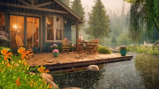 8 Hour Morning Ambience  Relaxing rain on the porch In the Forest Natures Symphony for Deep Sleep [upl. by Irtemed]