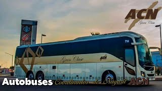 Autobuses Coordinados de Nayarit ACN [upl. by Lsiel758]