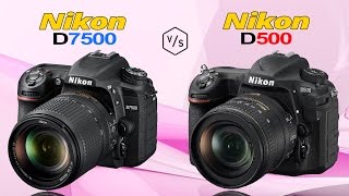 Nikon D7500 vs Nikon D500 [upl. by Cartie284]