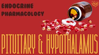 Endocrine Pharmacology Pituitary amp Hypothalamus [upl. by Aynam]