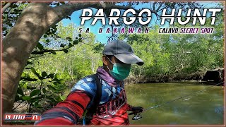 UL Ep 9 Pargo Hunt Sa Bakawan  Calayo Fishing Spot  Capung 762 Blue Spider [upl. by Addam261]