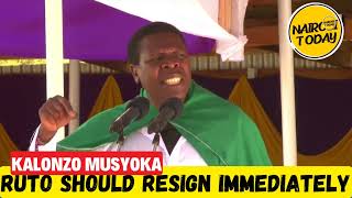 Watch DAPK PARTY LEADER WAMALWA THROW BOMBSHELL AT RUTO HAPA HAKUNA COMEBACK [upl. by Lyssa]