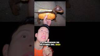 CÓMO SE CREÓ EL MEME “PERRO SALCHICHA GORDO BACHICHA”😱🤯short sabiasque curiosidades epic [upl. by Nosilla]