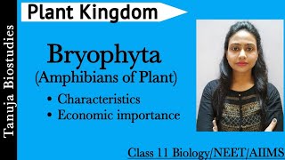 Plant Kingdom  Bryophyta  Characteristics and Economic Importances  Class 11 BiologyNEETAIIMS [upl. by Sophronia971]