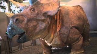 Jurassic Park 410 Movie CLIP  Tyrannosaurus Rex 1993 HD [upl. by Adnarahs]