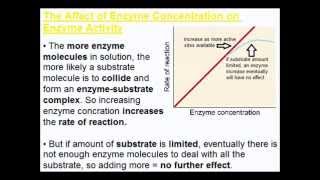 Factors Affecting Enzyme Activity Part 1  A Level AS Biology Revision [upl. by Pitts]