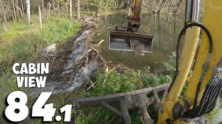 A Wide Beaver Dam With A Mass Of Branches And Mud  Beaver Dam Removal With Excavator No841 [upl. by Gibbs]