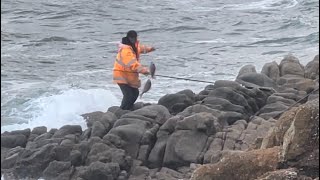 Easy to catch snapper at the Rock [upl. by Wilona626]