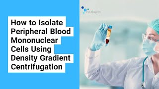 How to Isolate PBMCs Using Density Gradient Centrifugation [upl. by Pauly]