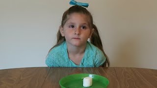 Famous Marshmallow Test [upl. by Telfer]