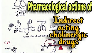 Cholinergic Drugs Pharmacological Action Indirect Acting Drugs and Anticholinesterases [upl. by Eikcaj522]