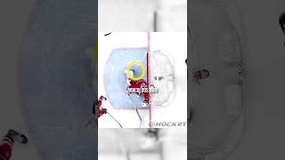 Most bizarre own goal in NHL [upl. by Lorilee]